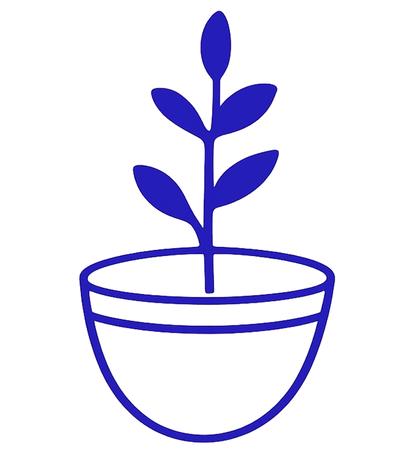 Описание изображения